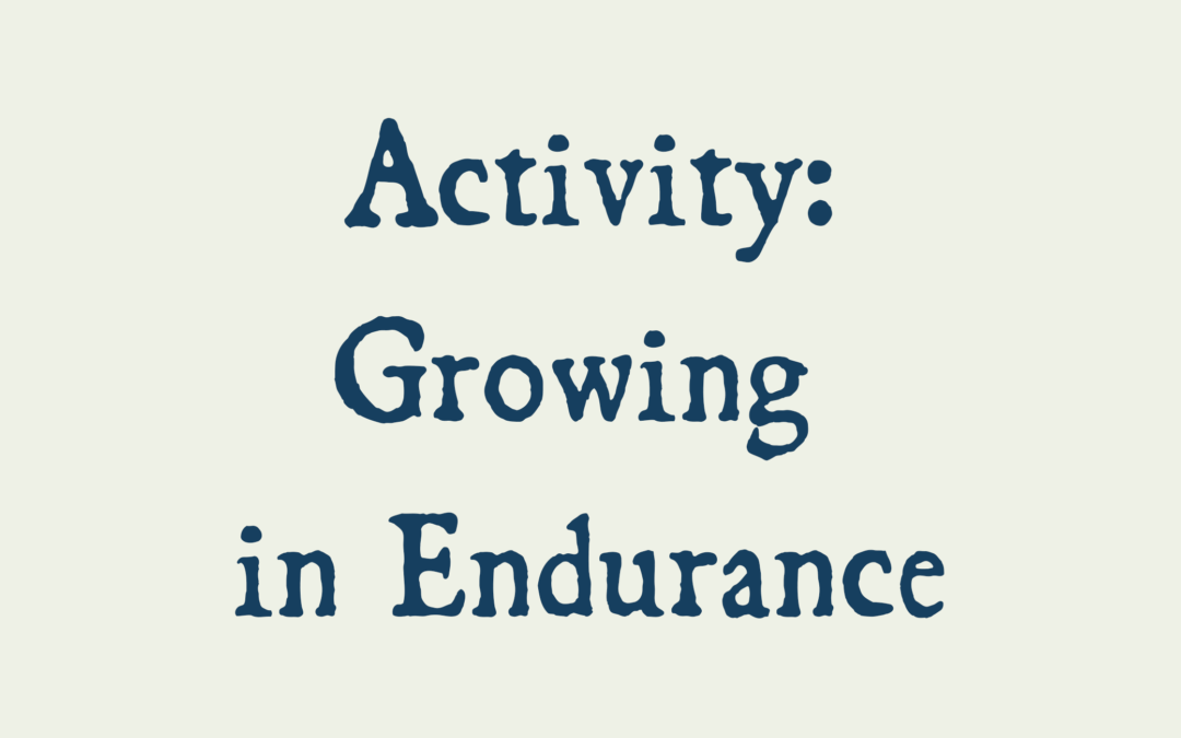 Commissioning Activity 4 (Growing in Endurance)
